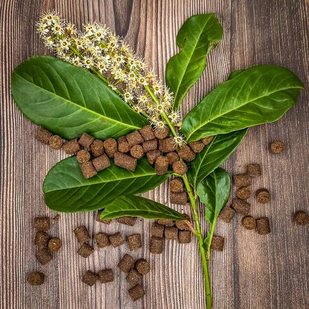 Petgood® Insektsbaserat Hundgodis för Glänsande Päls 100g