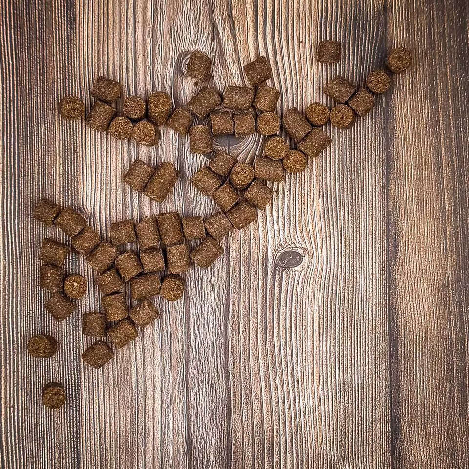 Petgood® Insektsbaserat Hundgodis för Glänsande Päls 100g