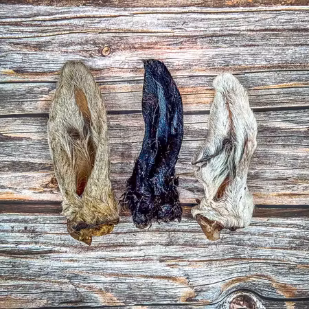 Lammöra med päls 🇸🇪