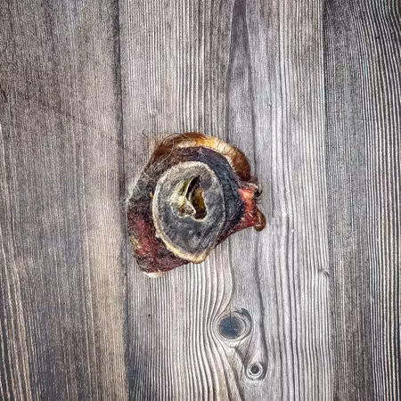Oxhorn/rot med päls 🇸🇪