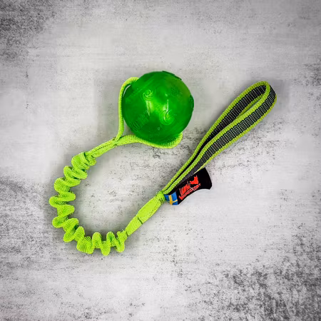 Jami Piko Kongboll med expander 🇸🇪