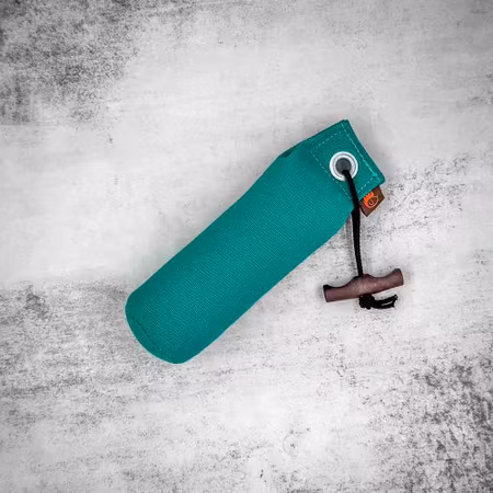 Firedog Dummy Standard – Grön