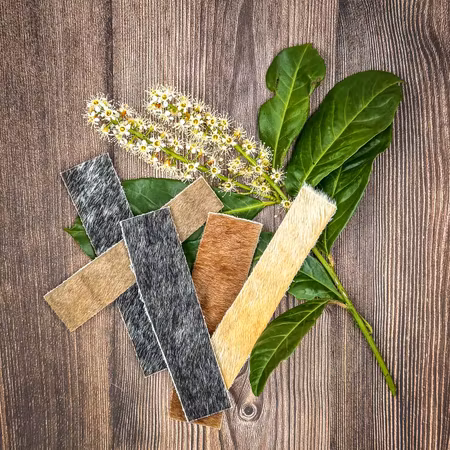 NJORD Pet Nötstrips Small – 5-pack