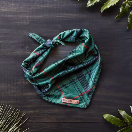 Wilderdog Dog Bandana
