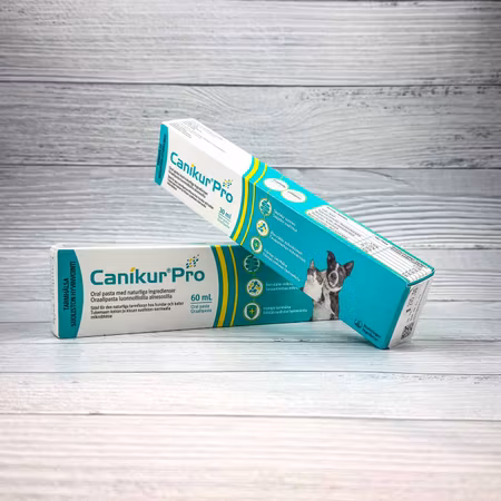Canikur Pro Oral Pasta till Hund & Katt