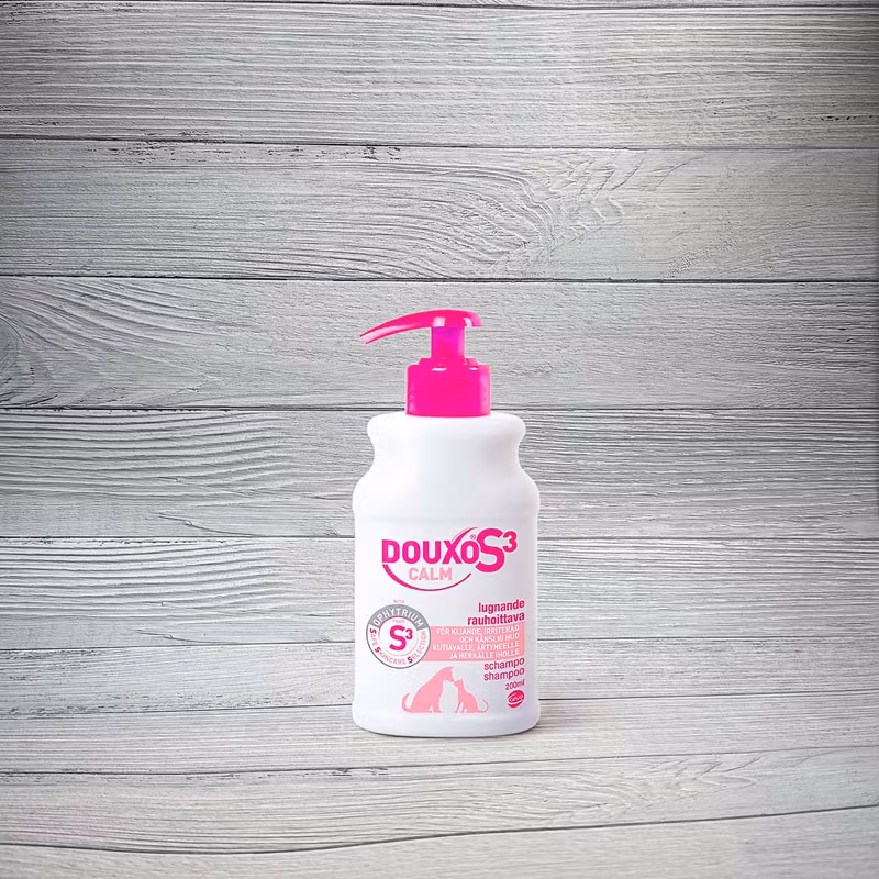 Skötsel