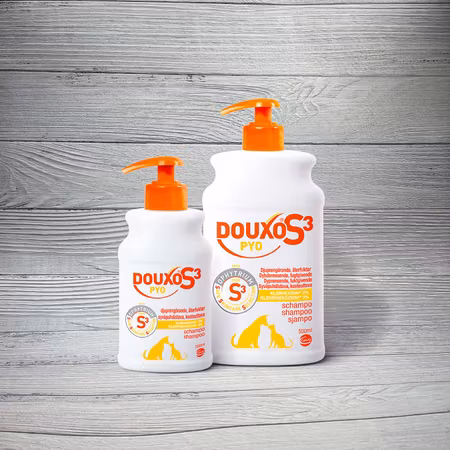 Douxo S3 PYO Schampo