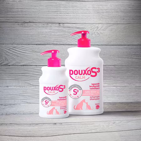 Douxo S3 CALM Schampo