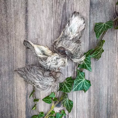 Renöra med päls – EMMZO