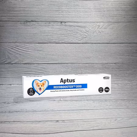 Aptus Recobooster Dog 100 g