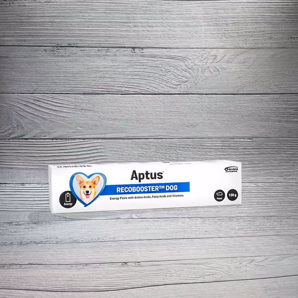 Aptus Recobooster Dog 100 g