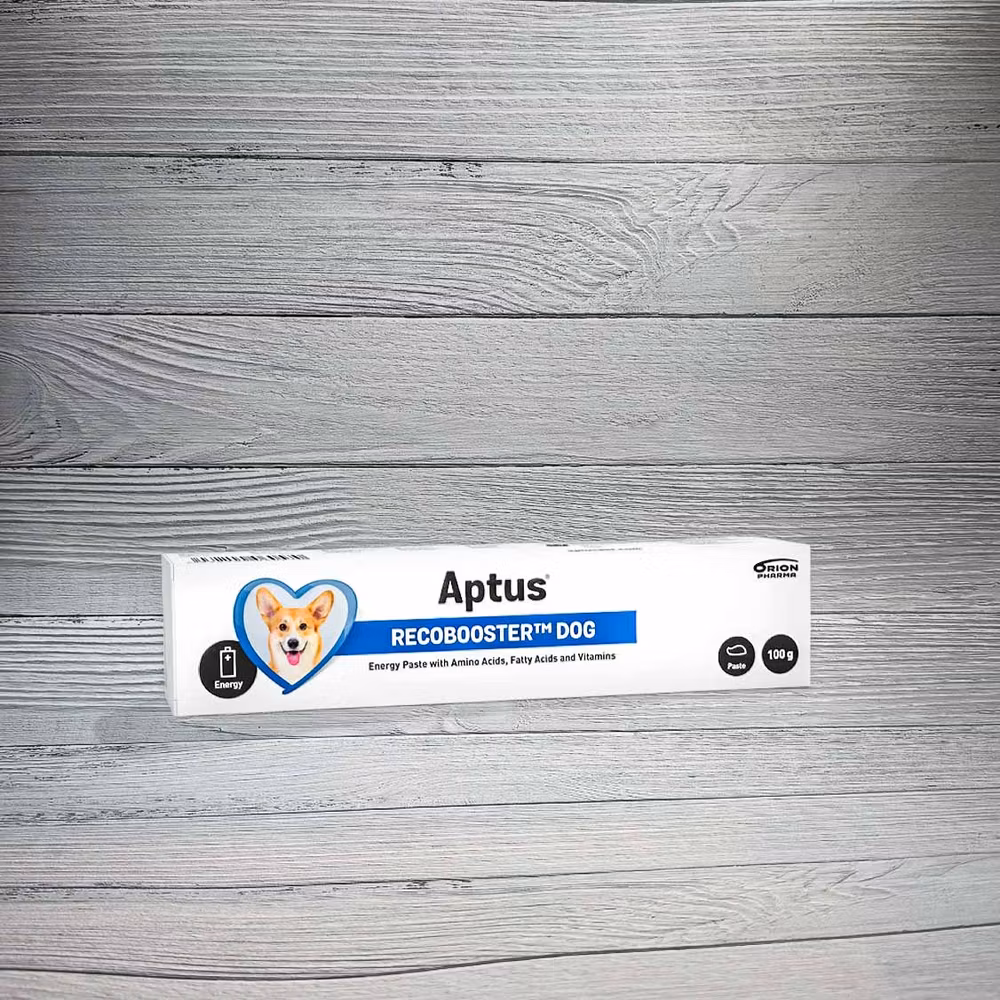 Aptus Recobooster Dog 100 g