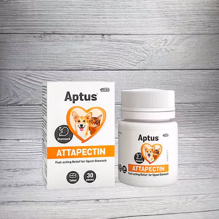 Aptus Attapectin Tabletter 30 st