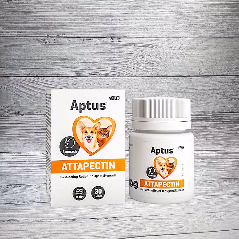 Aptus Attapectin Tabletter 30 st