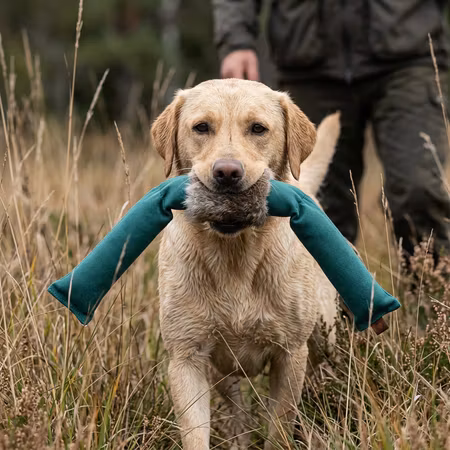 Firedog 3-delad Junior Dummy 800 g Grön med kaninpäls