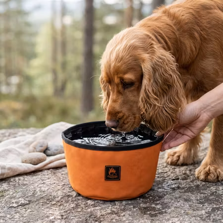 Firedog Reseskål 2 L orange