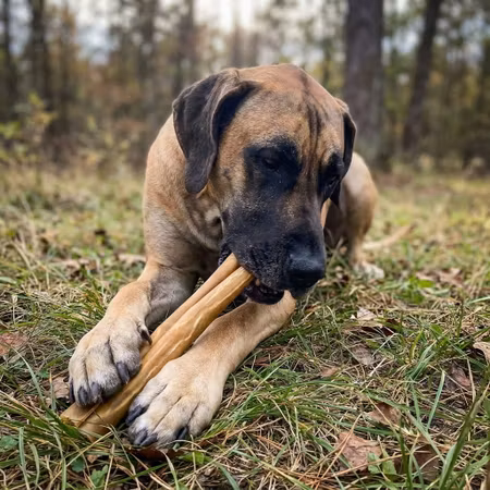 Kerotugg Älg Tuggrulle