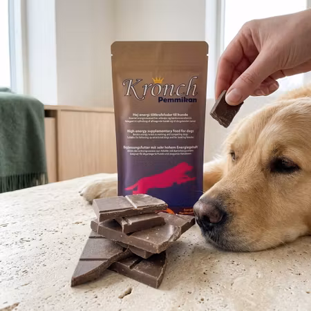 Kronch Pemmikan 400 g