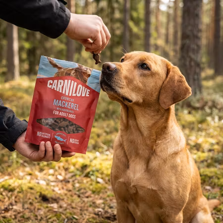 Carnilove Crunchy Makrill & Hallon 200 g