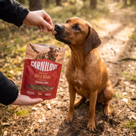 Carnilove Crunchy Vildsvin & Nypon 200 g