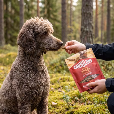 Carnilove Crunchy Struts & Björnbär 200 g