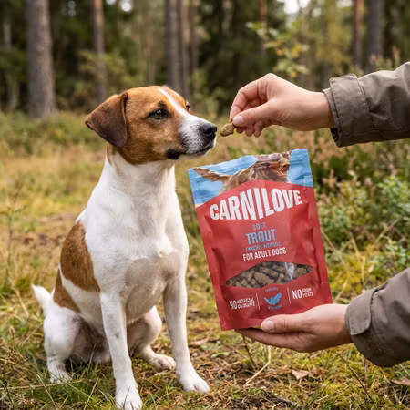 Carnilove Soft Öring & Dill 200 g