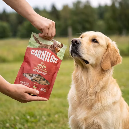 Carnilove Soft Vaktel med Oregano 200 g