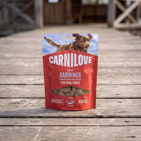 Carnilove Soft Sardiner & Ramslök 200 g