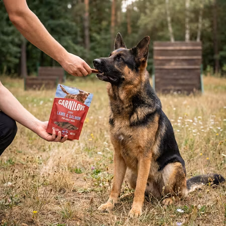 Carnilove Jerky Lamm & Lax 100 g