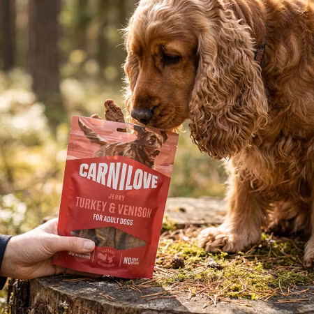 Carnilove Jerky Kalkon & Vilt 100 g