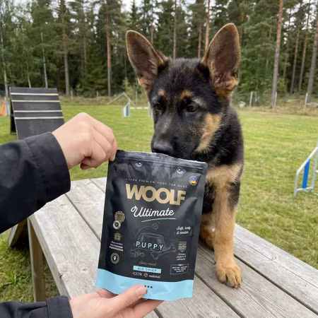 WOOLF Ultimate Semi-Moist Puppy 1 kg