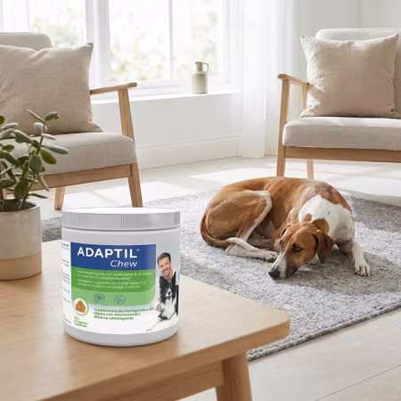 Adaptil Chew – Lugnande Tuggbitar 30 st