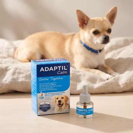 ADAPTIL Calm Refill