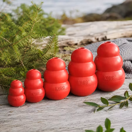 KONG Classic Röd – För Lek och Träning