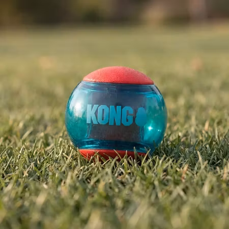 KONG Squeezz Actionball (flerpack)