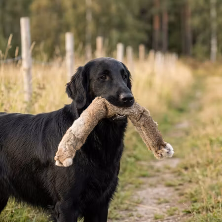 Firedog Dummy Junior 3-delad heltäckt med kaninpäls – 800 g