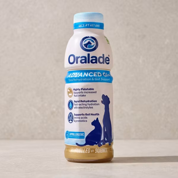 Oralade Advanced GI+ – Kyckling 500 mL