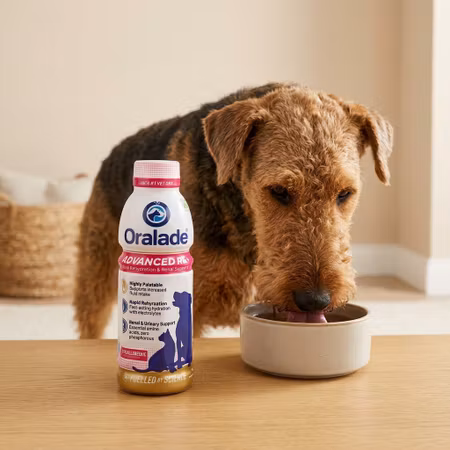 Oralade Advanced RF+ – Kyckling 500 mL