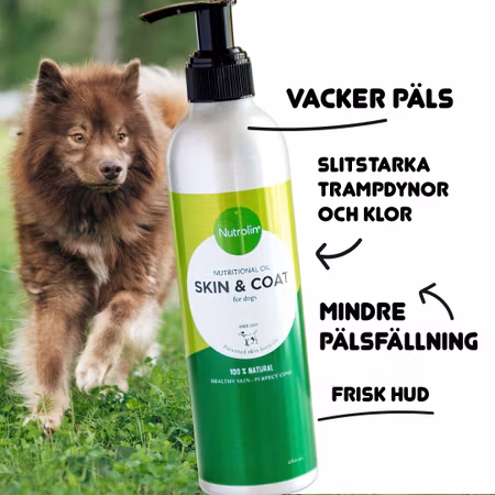 Nutrolin SKIN & COAT – Nourishing Oil for Skin & Coat