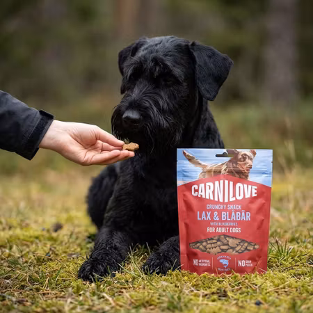 Carnilove Crunchy Lax & Blåbär 200 g