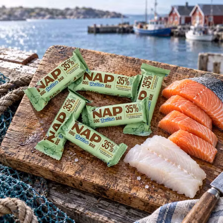 NAP Dog Protein Bar – Fisk 50 g