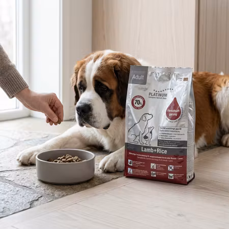 PLATINUM Adult – Lamb+Rice 1,5 kg