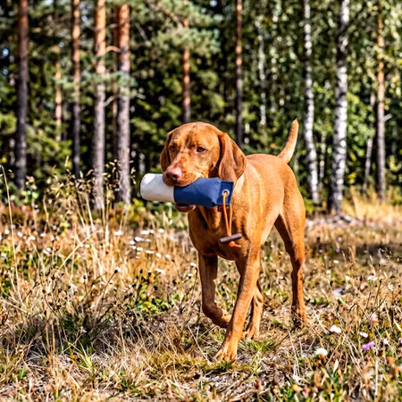 Firedog Lite Dummy Markering – Blå/vit 100 g