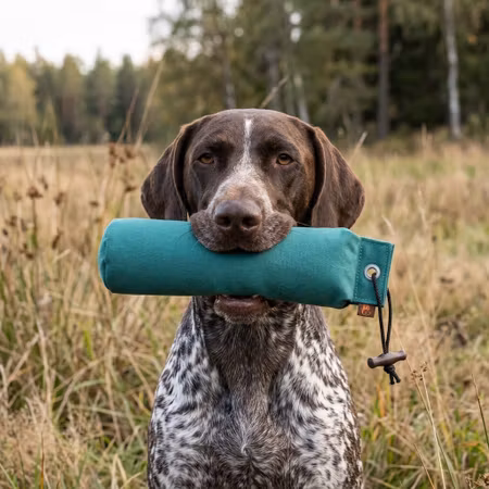 Firedog Dummy Standard – Grön 1000 g