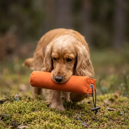 Firedog Dummy Standard – Orange 1000 g