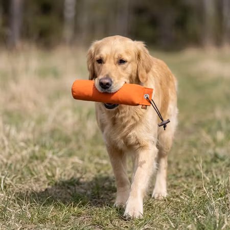 Firedog Dummy Standard Mjuk – Orange 500 g
