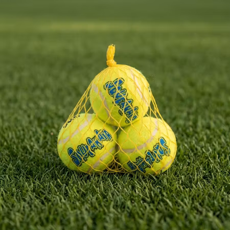 KONG SqueakAir Tennisbollar – S (3-pack)