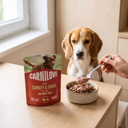 Carnilove Paté Kalkon & Vaktel med Morot 300 g