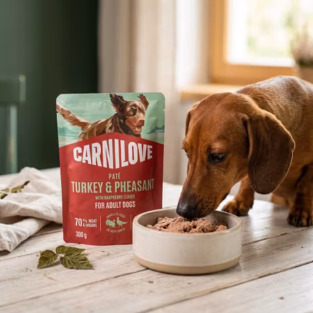 Carnilove Paté Kalkon & Fasan med Hallonblad 300 g