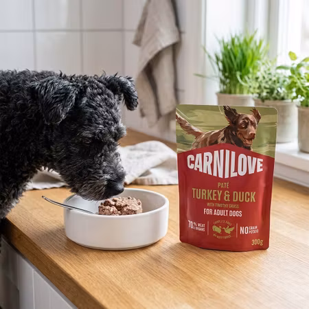 Carnilove Paté Kalkon & Anka med Timotej 300 g